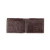 00020 Brown-4_result