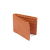 00035 Tan-2_result