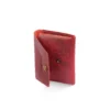 12 Maroon-2_result