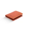 B 1098 Tan-3_result