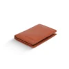 B0023 Tan-3_result
