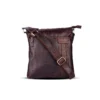 FQ03 brown-2_result